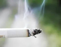 Raperda KTR Rampung, DPRD DKI Tetap Izinkan Aktivitas Merokok di Tempat Hiburan