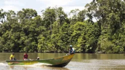 DPR Soroti Isu Pembabatan Kawasan Hutan Mangrove di Kendari