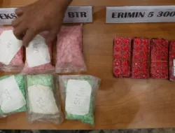 Kurir Ekstasi Senilai Rp207 M yang Kabur dalam Kecelakaan Tol Lampung Berhasil Ditangkap Bareskrim