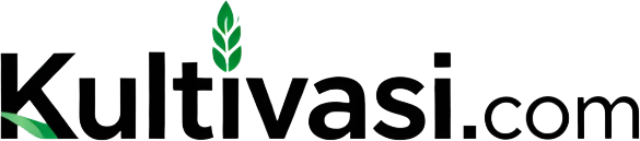 kultivasi.com